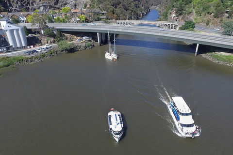 2.50 Hour Afternoon Discovery Cruise Including Cataract Gorge Departing At 3 Pm - ACT Tourism 5