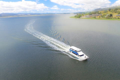 2.5 Hour Afternoon Discovery Cruise Including Cataract Gorge Departs At 1: 30 Pm - ACT Tourism 0