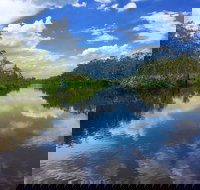 Noosa Everglades Serenity Cruise  Highlights Tour Inc. Lunch  Cruise - ACT Tourism