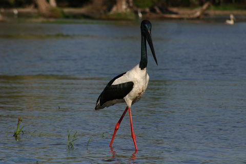 Litchfield And Jumping Crocodiles Full Day Trip From Darwin - ACT Tourism 1