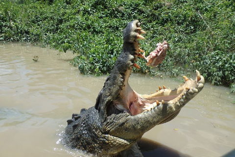 Litchfield And Jumping Crocodiles Full Day Trip From Darwin - ACT Tourism 3