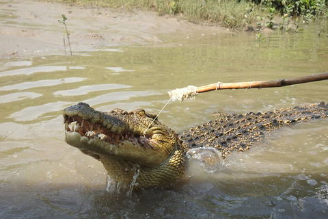 Litchfield And Jumping Crocodiles Full Day Trip From Darwin - ACT Tourism 4