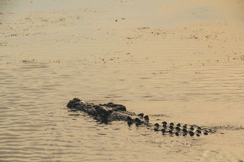 Yellow Water Cruise - Kakadu - ACT Tourism 2