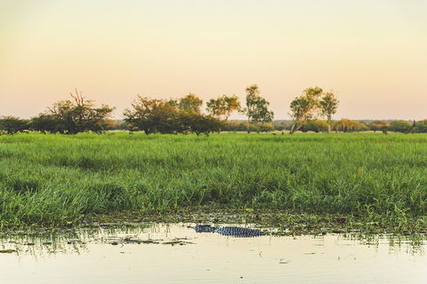Yellow Water Cruise - Kakadu - ACT Tourism 3