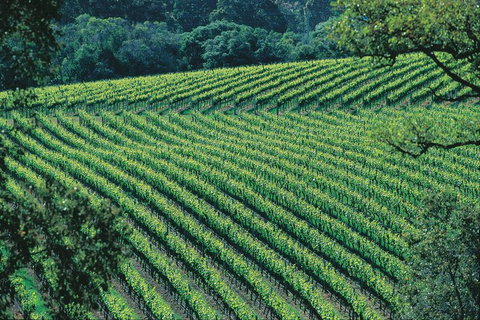 Margaret River Private Tour - ACT Tourism 4