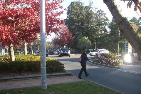 PRIVATE All-Day Blue Mountains Tour With Professional Guide For Up To 4 People - ACT Tourism 1