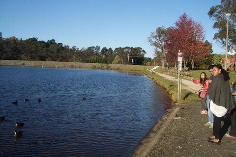 PRIVATE All-Day Blue Mountains Tour With Professional Guide For Up To 4 People - ACT Tourism 2