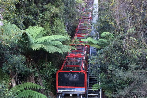Blue Mountains Private Full-Day Tour From Sydney With Cruise - ACT Tourism 5