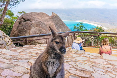 Wineglass Bay & Freycinet NP Full Day Tour From Hobart Via Richmond Village - ACT Tourism 0