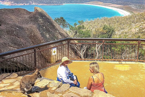 Wineglass Bay & Freycinet NP Full Day Tour From Hobart Via Richmond Village - ACT Tourism 1