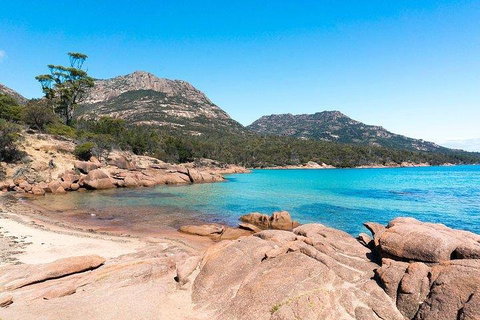 Wineglass Bay & Freycinet NP Full Day Tour From Hobart Via Richmond Village - ACT Tourism 5