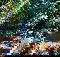 Aquaduck  Your choice of Gold Coast Rainforest Tour - ACT Tourism