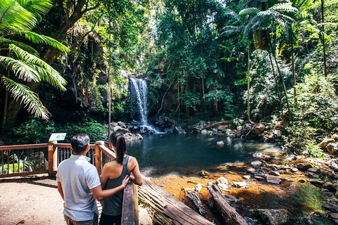 Aquaduck & Your Choice Of Gold Coast Rainforest Tour - ACT Tourism 0