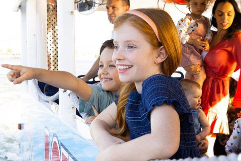 Aquaduck & Your Choice Of Gold Coast Rainforest Tour - ACT Tourism 2