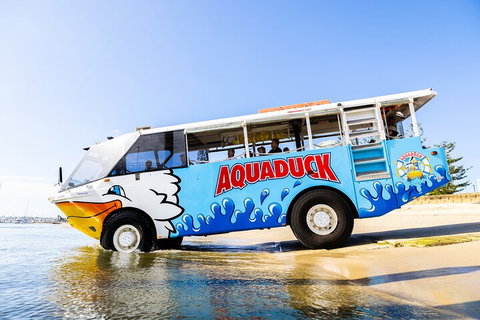 Aquaduck & Your Choice Of Gold Coast Rainforest Tour - ACT Tourism 3