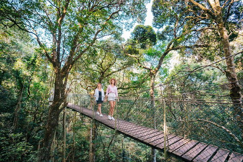 Aquaduck & Your Choice Of Gold Coast Rainforest Tour - ACT Tourism 4