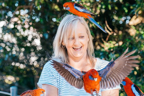 Aquaduck & Your Choice Of Gold Coast Rainforest Tour - ACT Tourism 5