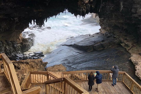 Kangaroo Island 4WD Tour - Best Of KI - ACT Tourism 1