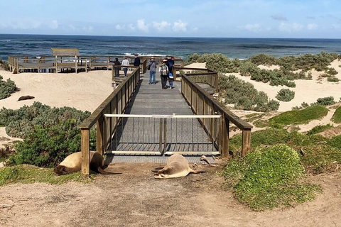 Kangaroo Island 4WD Tour - Best Of KI - ACT Tourism 2