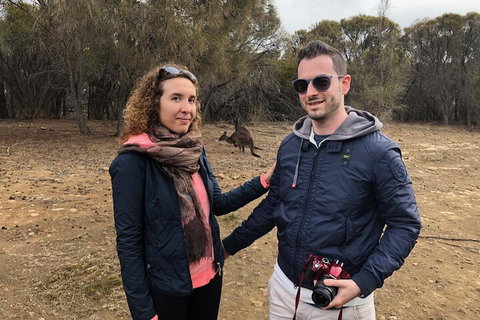 Kangaroo Island 4WD Tour - Best Of KI - ACT Tourism 3