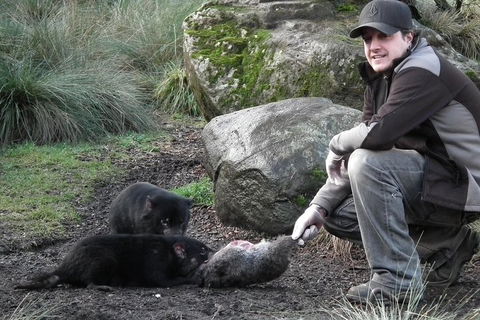 After Dark Tasmanian Devil Feeding Tour At Cradle Mountain - ACT Tourism 2