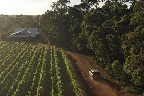 The All About Margaret River Tour: Wine, Coffee, Lunch And Forest - ACT Tourism 1