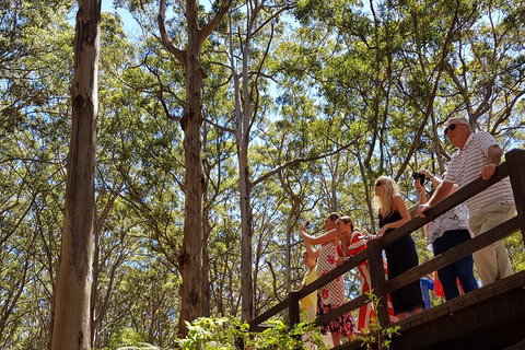 The All About Margaret River Tour: Wine, Coffee, Lunch And Forest - ACT Tourism 3
