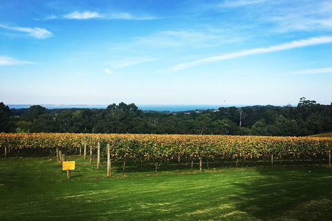 Yarra Valley Private Car Winery Tour And Chocolate.1-7 Passengers One Car Price - ACT Tourism 0