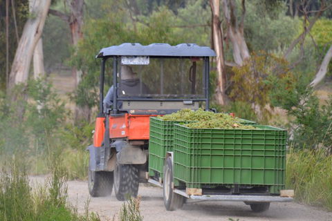 Yarra Valley Private Car Winery Tour And Chocolate.1-7 Passengers One Car Price - ACT Tourism 1
