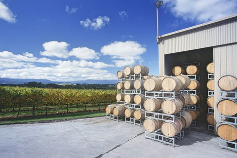 Yarra Valley Private Car Winery Tour And Chocolate.1-7 Passengers One Car Price - ACT Tourism 2