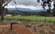 Yarra Valley Wine Tour Inc Lunch With A Glass Of Wine, Tastings And Chocolate - thumb 0
