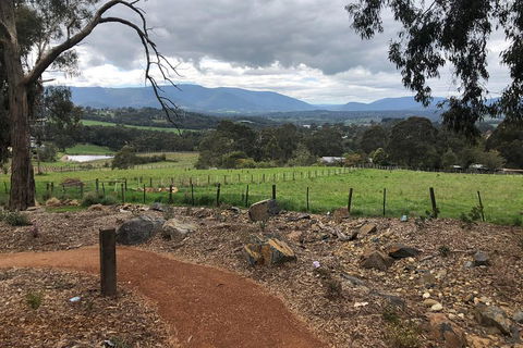 Yarra Valley Wine Tour Inc Lunch With A Glass Of Wine, Tastings And Chocolate - ACT Tourism 0