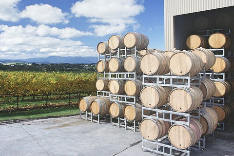 Yarra Valley Wine Tour Inc Lunch With A Glass Of Wine, Tastings And Chocolate - ACT Tourism 4