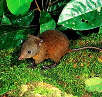 3-Day Small-Group Tour of North Queensland with Pick Up - ACT Tourism