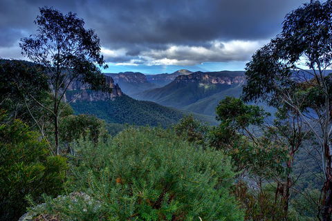 Ultimate Blue Mountains And Wildlife Tour - ACT Tourism 1