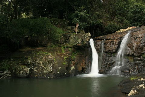 Hinterland Magic & Glow-worm Experience - ACT Tourism 2