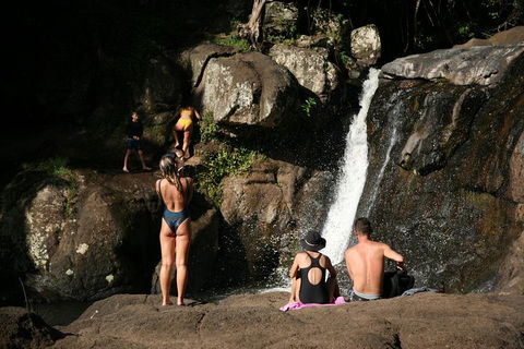 Hinterland Magic & Glow-worm Experience - ACT Tourism 5