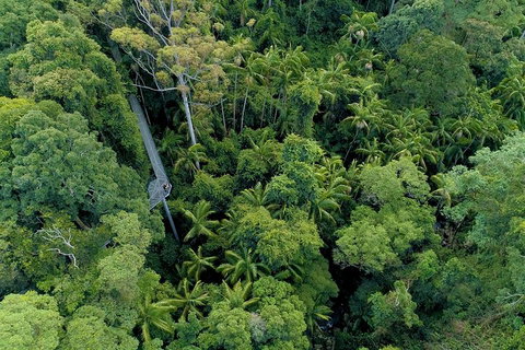 Natural Bridge, Skywalk And Mt Tamborine Adventure! - ACT Tourism 2