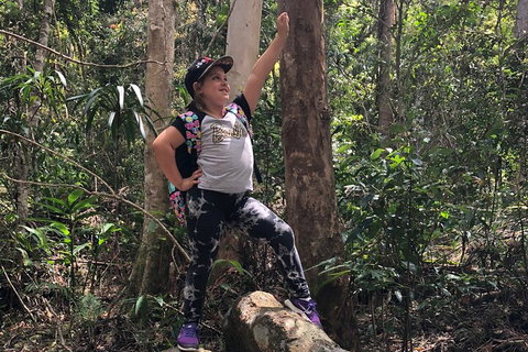 Natural Bridge, Skywalk And Mt Tamborine Adventure! - ACT Tourism 3