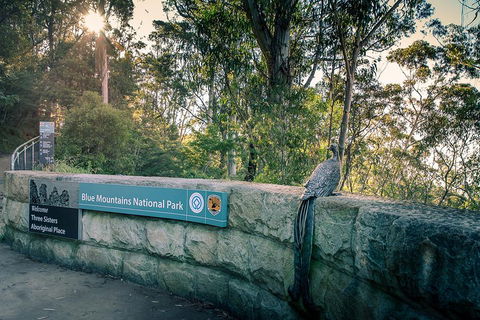 Ultimate Blue Mountains Waterfalls, Walks & Sunset PRIVATE Tour - ACT Tourism 3