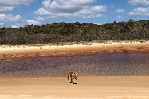 Pippies 3 Days 2 Nights Fraser Island Tour - ACT Tourism 2