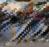 Guided Walking Tour in Adelaide - ACT Tourism