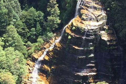 Private Blue Mountains Tour With Kangaroo And Koala Experience - ACT Tourism 5