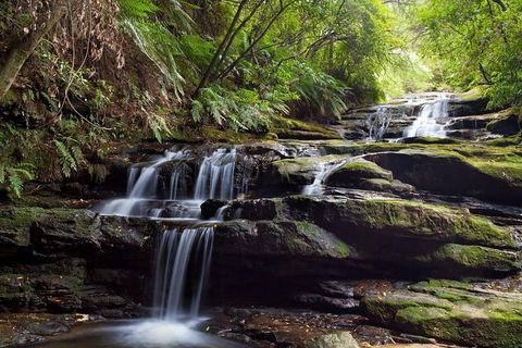 Private All Blue Mountains Day Tour - ACT Tourism 1