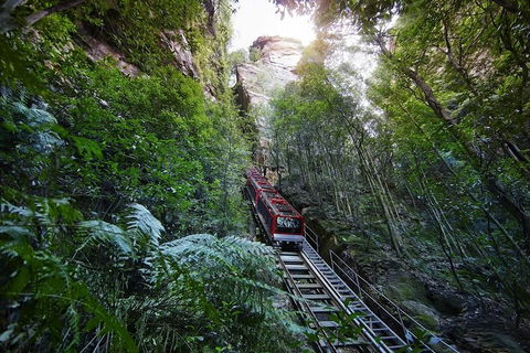 Private All Blue Mountains Day Tour - ACT Tourism 3