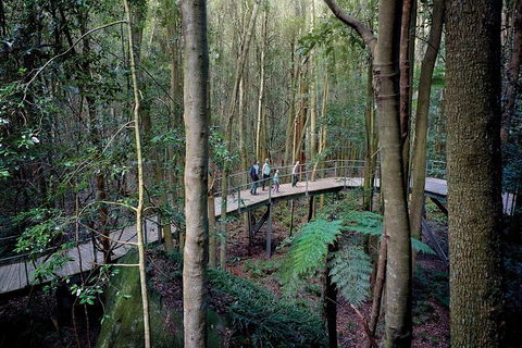 Private All Blue Mountains Day Tour - ACT Tourism 4