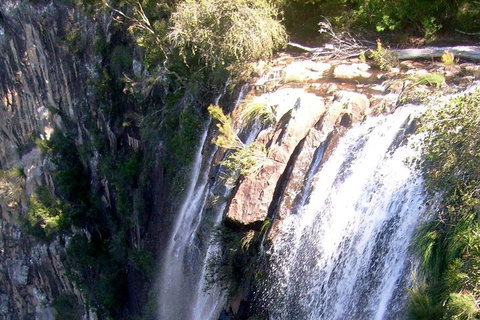 Byron Bay Combo: Hinterland Tour Including Minyon Falls And Kayaking With Dolphins - ACT Tourism 3