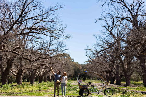 Adelaide 90-Minute Pedicab Tour: Scenic Green & River Experience - ACT Tourism 1