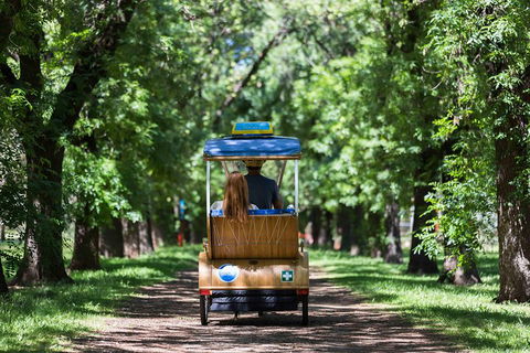 Adelaide 90-Minute Pedicab Tour: Scenic Green & River Experience - ACT Tourism 2
