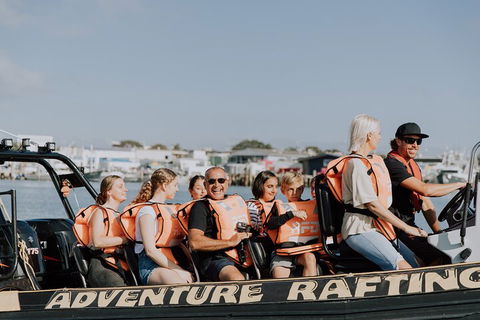 Adventure Whale Watching Tour Mooloolaba - ACT Tourism 4